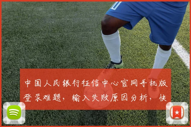 中国人民银行征信中心官网手机版登录难题，输入失败原因分析，快速解决攻略，三步走