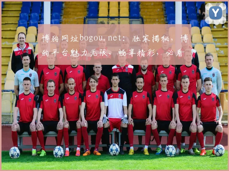 博狗网址bogou.net：独家揭秘，博狗平台魅力无限，畅享精彩，必看攻略