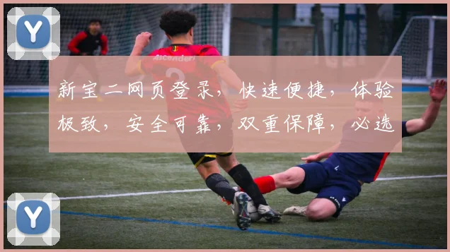 新宝二网页登录，快速便捷，体验极致，安全可靠，双重保障，必选之选，不容错过