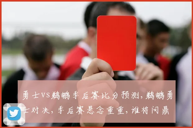 勇士vs鹈鹕季后赛比分预测,鹈鹕勇士对决,季后赛悬念重重,谁将问鼎冠军