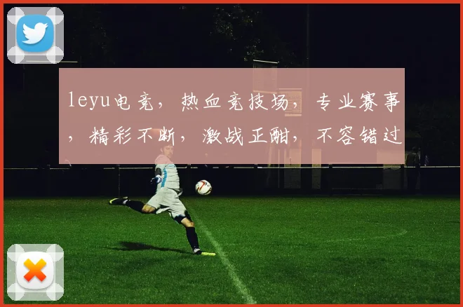leyu电竞，热血竞技场，专业赛事，精彩不断，激战正酣，不容错过