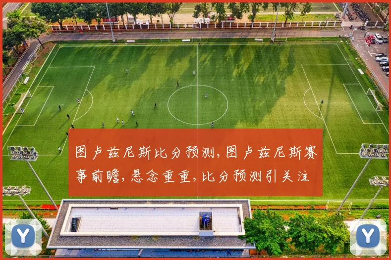 图卢兹尼斯比分预测,图卢兹尼斯赛事前瞻,悬念重重,比分预测引关注