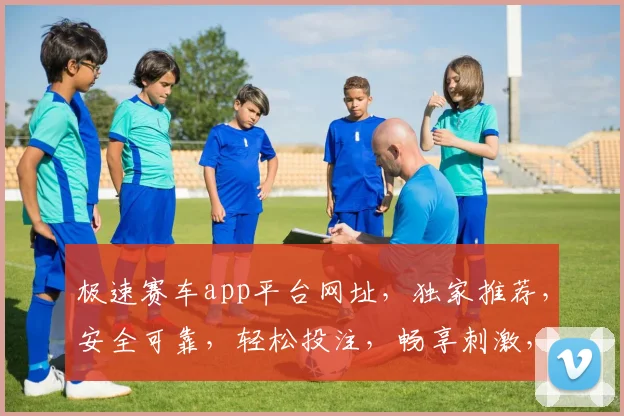极速赛车app平台网址，独家推荐，安全可靠，轻松投注，畅享刺激，必看攻略，三个网址，一个不落